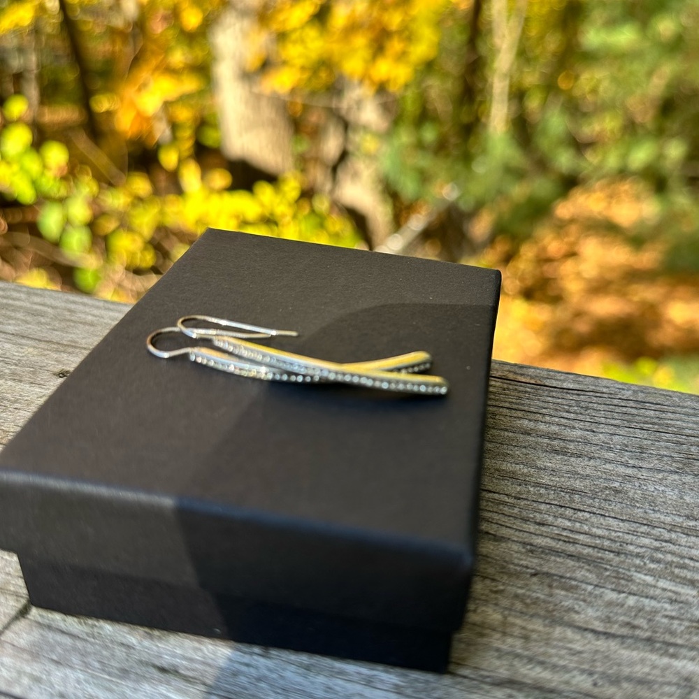 EXPRESS Elegant Gold and Silver Dangle Earrings
